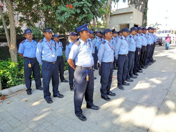 Professional Security Guard